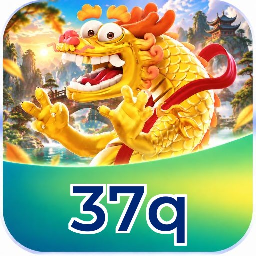 37q System Requirements