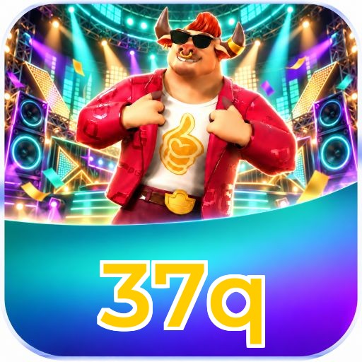 37q System Requirements