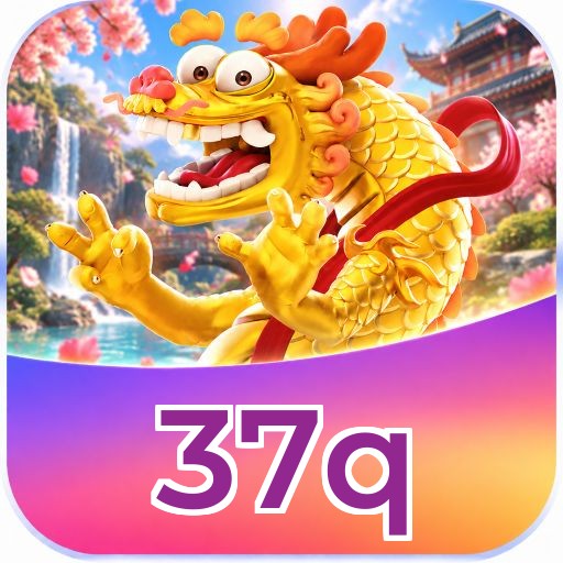 37q Logo